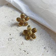 Charger l'image dans la galerie, Boucles Clip Myra dorées