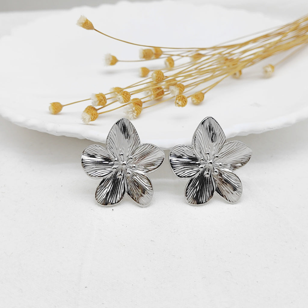 Boucles Venus argent