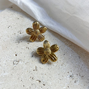 Boucles Clip Myra
