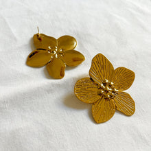 Charger l&#39;image dans la galerie, Boucles Venus
