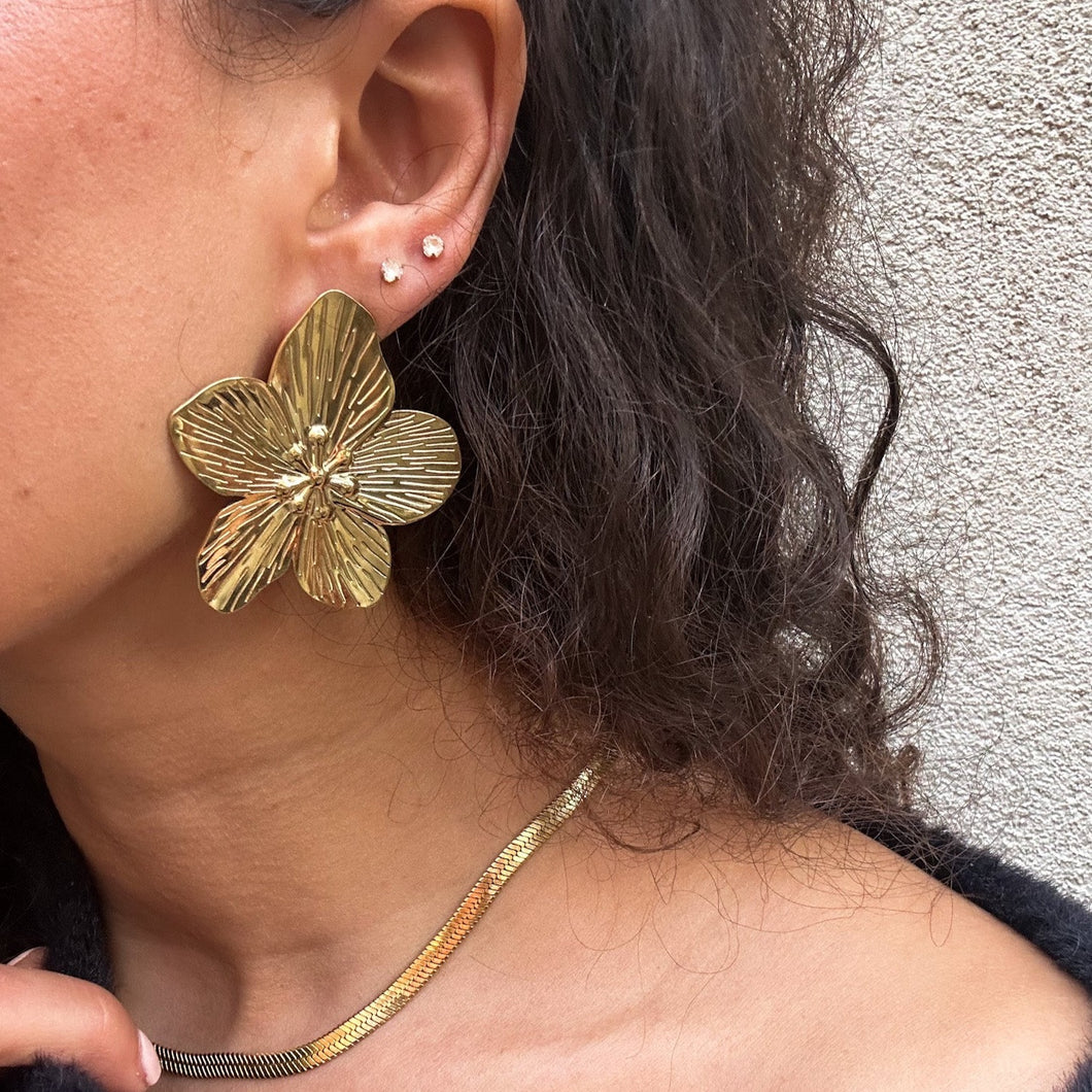 Boucles Venus